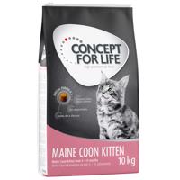 10kg Concept for Life Maine Coon Kitten száraz macskatáp 20% kedvezménnyel