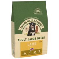 James Wellbeloved Adult Large Breed