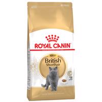 10kg Royal Canin British Shorthair Adult száraz macskatáp