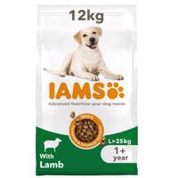 12kg IAMS Advanced Nutrition Adult Large Dog bárány száraz kutyatáp