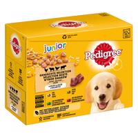 12x100g Pedigree Junior aszpikban nedves kutyatáp 10+2 ingyen