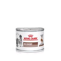 Royal Canin