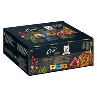 12x400g Cesar Natural Goodness Casserole nedves kutyatáp Multipack 3 variációval (pulyka, csirke, fehér hal)