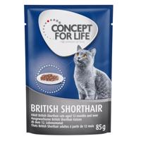 12x85g Concept for Life British Shorthair Adult  nedvestáp-  száraztáphoz kiegészítés