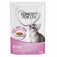 12x85g Concept for Life Kitten Aszpikban nedves macskatáp 15% kedvezménnyel