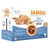 12x85g IAMS Advanced Nutrition Adult Sea Mix aszpikban nedves macskatáp