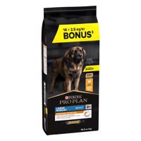 16,5kg PURINA PRO PLAN Large Robust Adult OPTIBALANCE csirke & rizs száraz kutyatáp 14+2,5kg ingyen