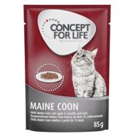 24x85g Concept for Life Maine Coon Adult (ragu-minőség) nedves macskatáp - 20+4 ingyen