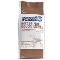 2x10kg Forza 10 Active Line Intestinal Colon Phase 2 száraz kutyatáp