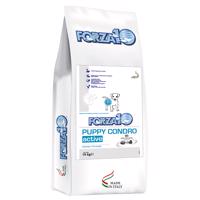 2x10kg Forza10 Active Line Puppy Condro Active száraz kutyatáp