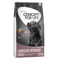 2x12kg Concept for Life Labrador Retriever Adult száraz kutyatáp 15% kedvezménnnyel