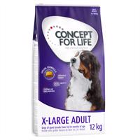 2x12kg Concept for Life X-Large Adult száraz kutyatáp 15% kedvezménnnyel