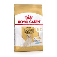 2x12kg Royal Canin Breed Labrador Retriever Adult 5+ száraz kutyatáp