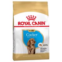 2x3 kg Royal Canin Cocker Spániel Puppy száraz kutyatáp