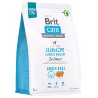 2x3kg Brit Care Dog Grain-free Junior Large Breed salmon & potato száraz kutyatáp