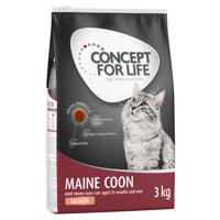 3x3kg Concept for Life Maine Coon Adult lazac - gabonamentes receptúra száraz macskatáp 20% kedvezménnyel