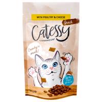 Catessy