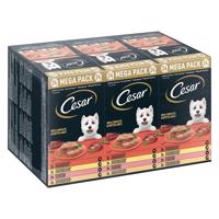 48x150g Ceasar tálcás megapack - Klasszikus terrine nedves kutyatáp 42+6 ingyen