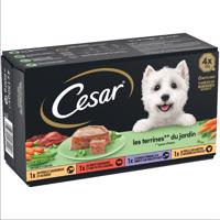 48x150g Cesar kerti terrine nedves kutyatáp vegyesen