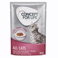 48x85g Concept for Life All Cats szószban nedves macskatáp rendkívüli árengedménnyel