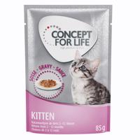 48x85g Concept for Life Kitten szószban nedves macskatáp rendkívüli árengedménnyel