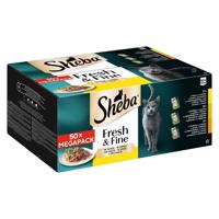 50x50g Sheba Fresh & Fine Csirke, szárnyas és pulyka szószban nedves macskatáp