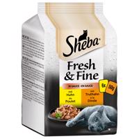 6 x 50 g Sheba Fresh & Fine multipack -Csirke & pulyka szószban