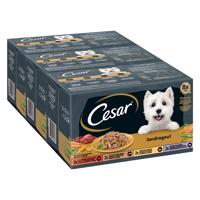 96x150g Cesar Country Kitchen Favourites nedves macskatáp vegyes csomag