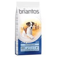 Briantos Junior  Young & Fit csirke & rizs - 2 x 14 kg