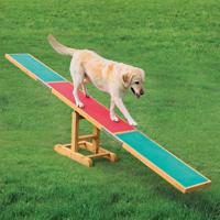 Trixie Agility hinta - 300 x 34 x 54 cm